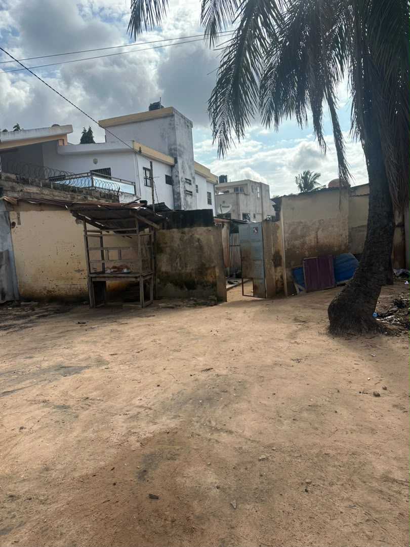 Terrain de 300 m² en vente à Léo 2000 derrière école la volonté – 25 millions FCFA