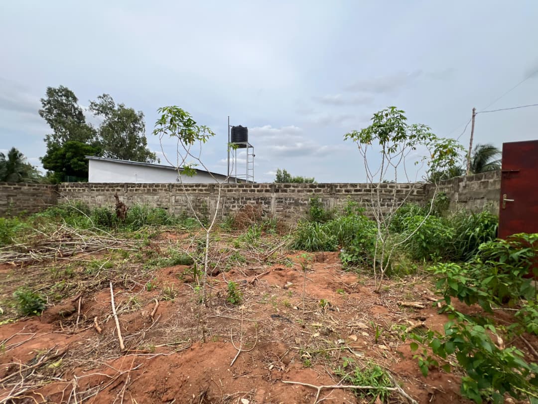 Terrain en vente à Sanguera ARS - 25 millions FCFA