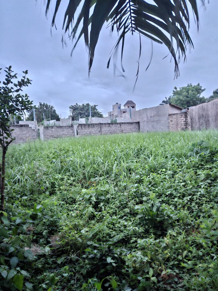 Terrain 1/2 lot en vente proche du goudron à côté du marché Légbassito – 25 000 000 FCFA