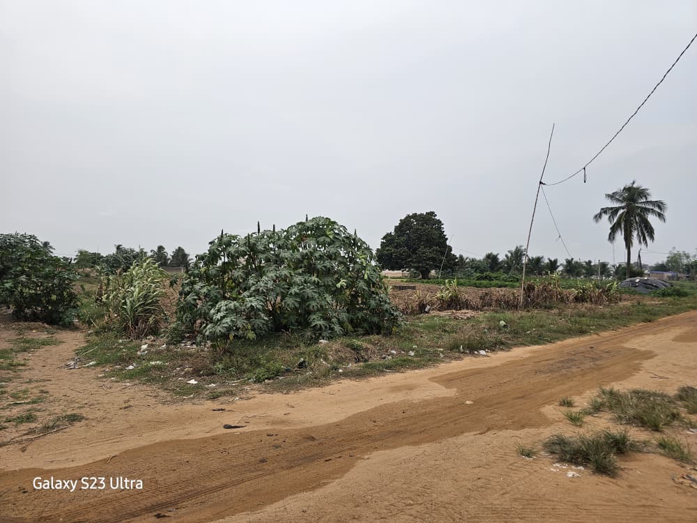 Terrain de 2100 m² en vente à Baguida Centre Aéré de la BCEAO – 150 millions FCFA