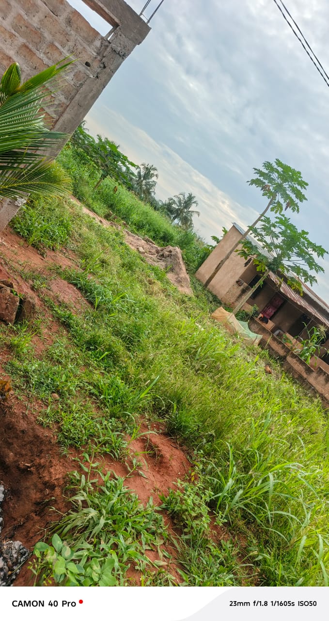 1/2 lot de terrain en vente à Apessito (Légbassito - Mission Tové) – 7 millions FCFA