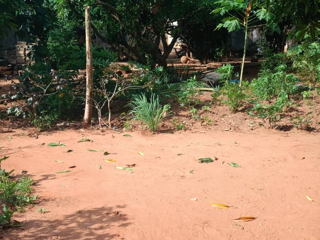Terrain 1 lot en vente angle de rue à Cap Amadahomé – 40 millions FCFA