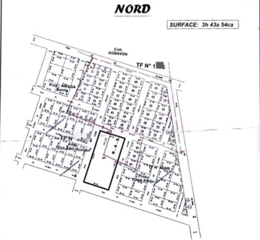 Terrain en vente à Bagbé entre Noépé et Djéméké – 2,5 millions FCFA