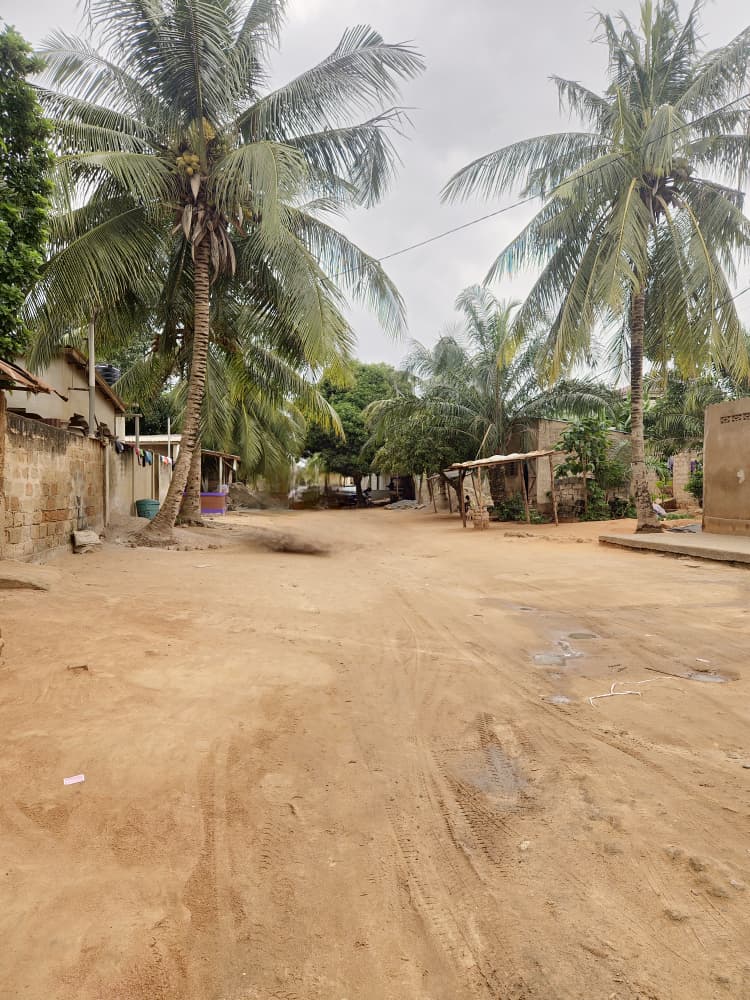 Terrain de 300 m² en vente à Sanguéra Klemé – 13 millions FCFA
