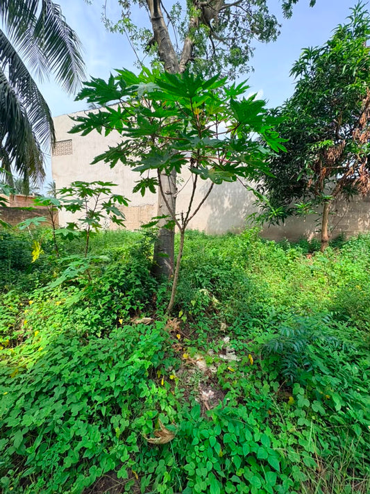 Terrain en vente d'un lot à Sogbossito – 20 millions FCFA