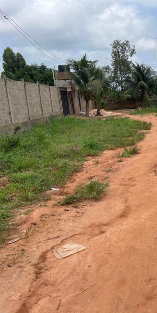 Terrain de 312 m² en vente à Adidogomé Segbé – 5,5 millions FCFA