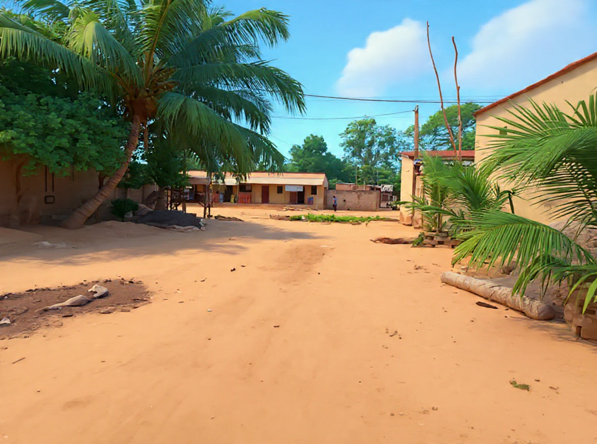 Terrain de 900 m² en vente à Sanguera-KOPEGAN – 23 millions FCFA le lot