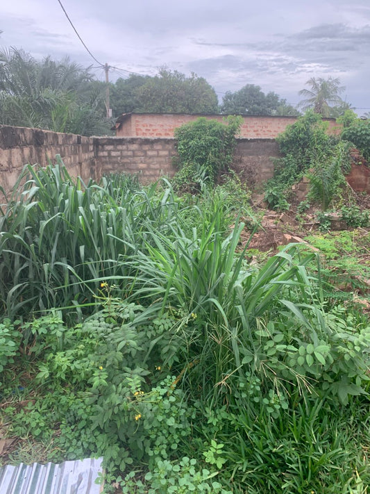 Terrain de 330 m² en vente à Agoè Legbassito proche du goudron – 15 millions FCFA