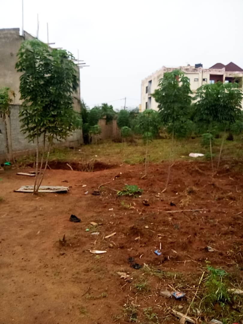 Terrain de 500 m² en vente à Zanguéra Togokomé – 14 millions FCFA
