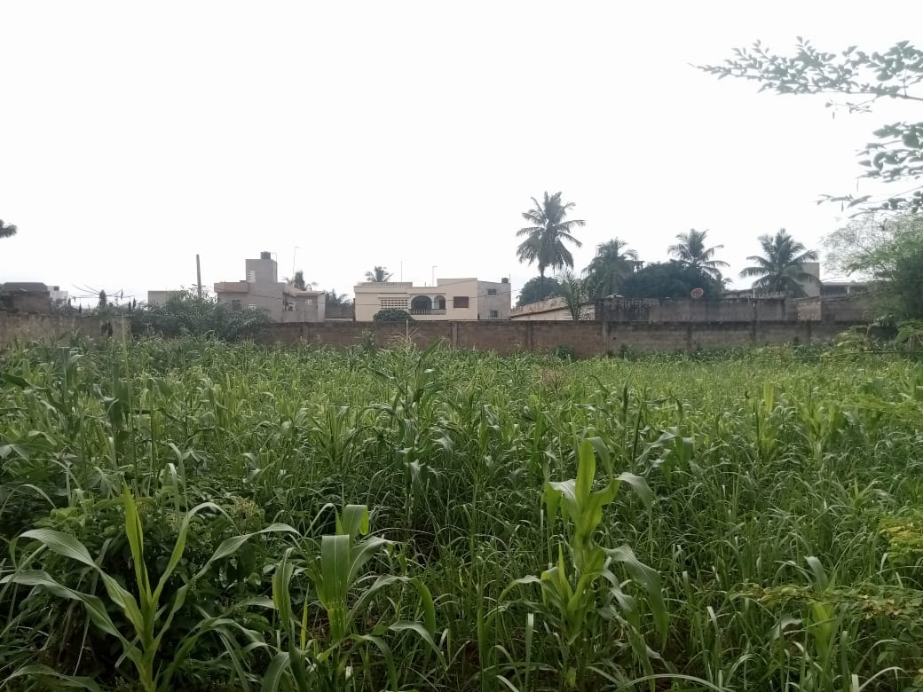 Terrain de 2 lots en vente à Agoè à côté de Camp de Police – 22 millions FCFA le lot