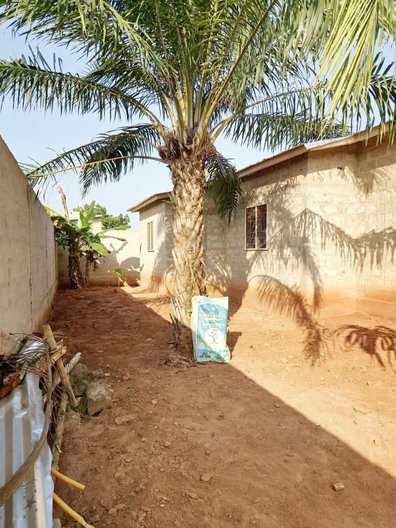 Maison 3 chambres de 390 m² en vente à Apessito La Paix, proche du goudron – 25 millions FCFA