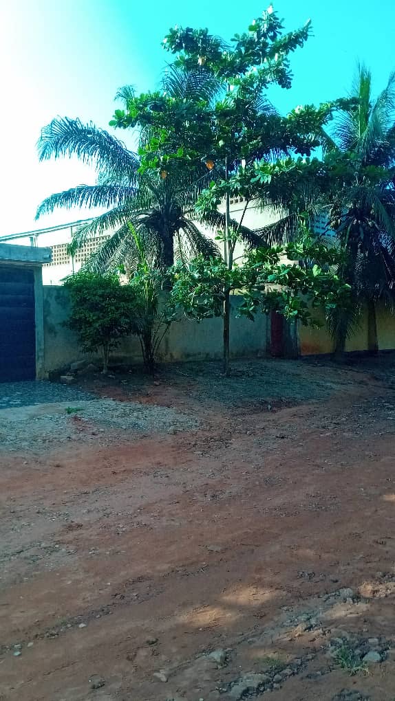 Demi lot de terrain en vente à Agoe Sogbossito non loin du bar Izi – 15 000 000 FCFA