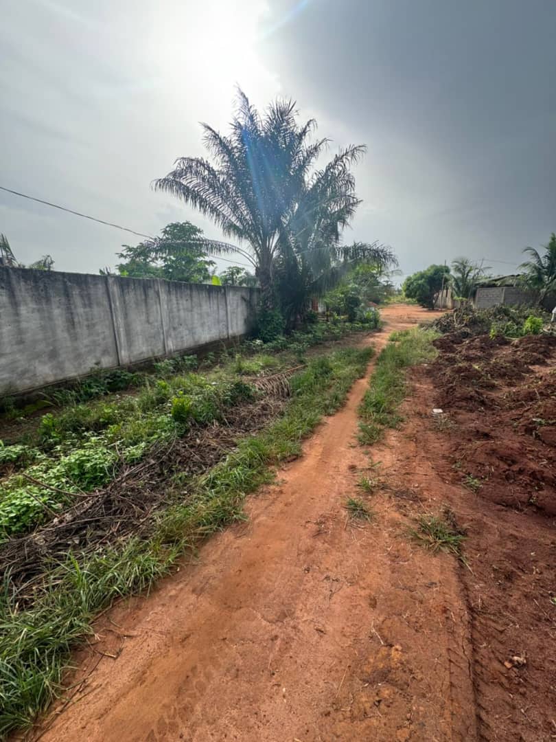 Terrain de 600 m² en vente à Aképédo Zanguera – 9 millions FCFA