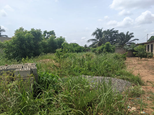 Terrain en vente à Ségbé – 12 millions FCFA