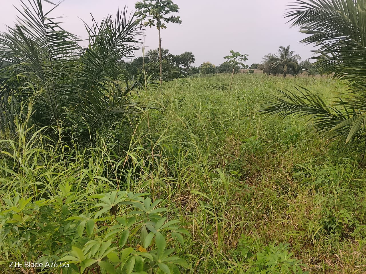 Terrain demi lot en vente à Atoukpancopé route d'Aveta – 3,5 millions FCFA