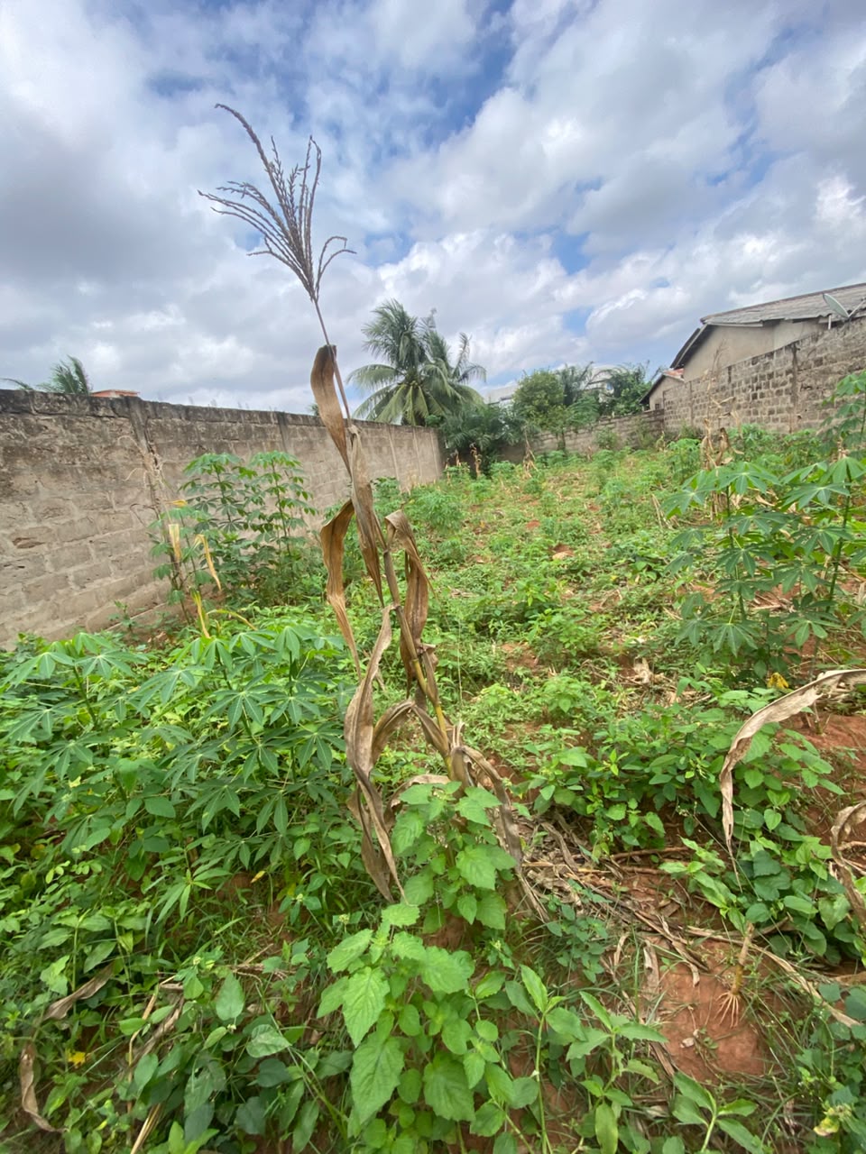 Terrain en vente non loin du goudron à Agoè Légbassito Madjikpéto – Prix à partir de 13 millions FCFA