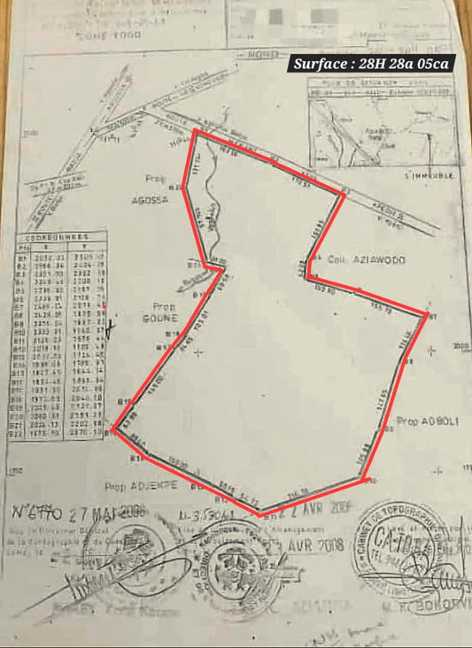 Terrain de 28 hectares en vente à Badja – 3 000 000 FCFA l'hectare