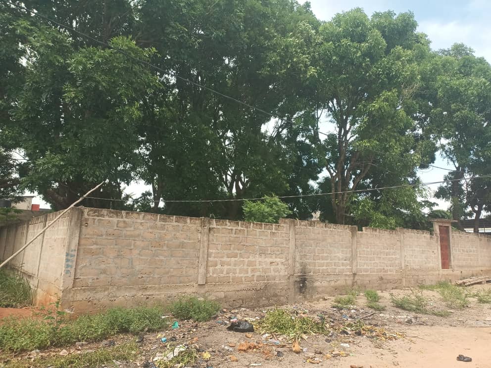 2 lots 1/2 clôturé à vendre derrière marché de Legbassito – 14 millions FCFA