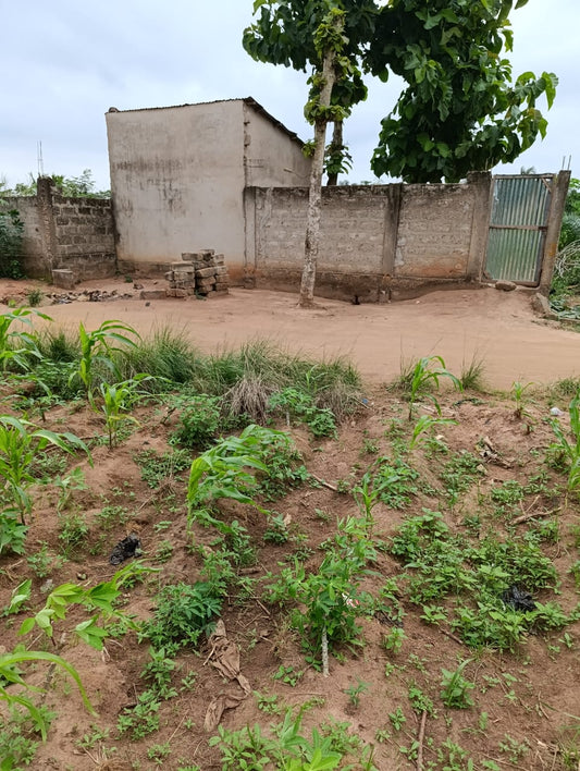 Terrain en vente à Agoè-Legbassito Kognito – 14 000 000 FCFA le lot
