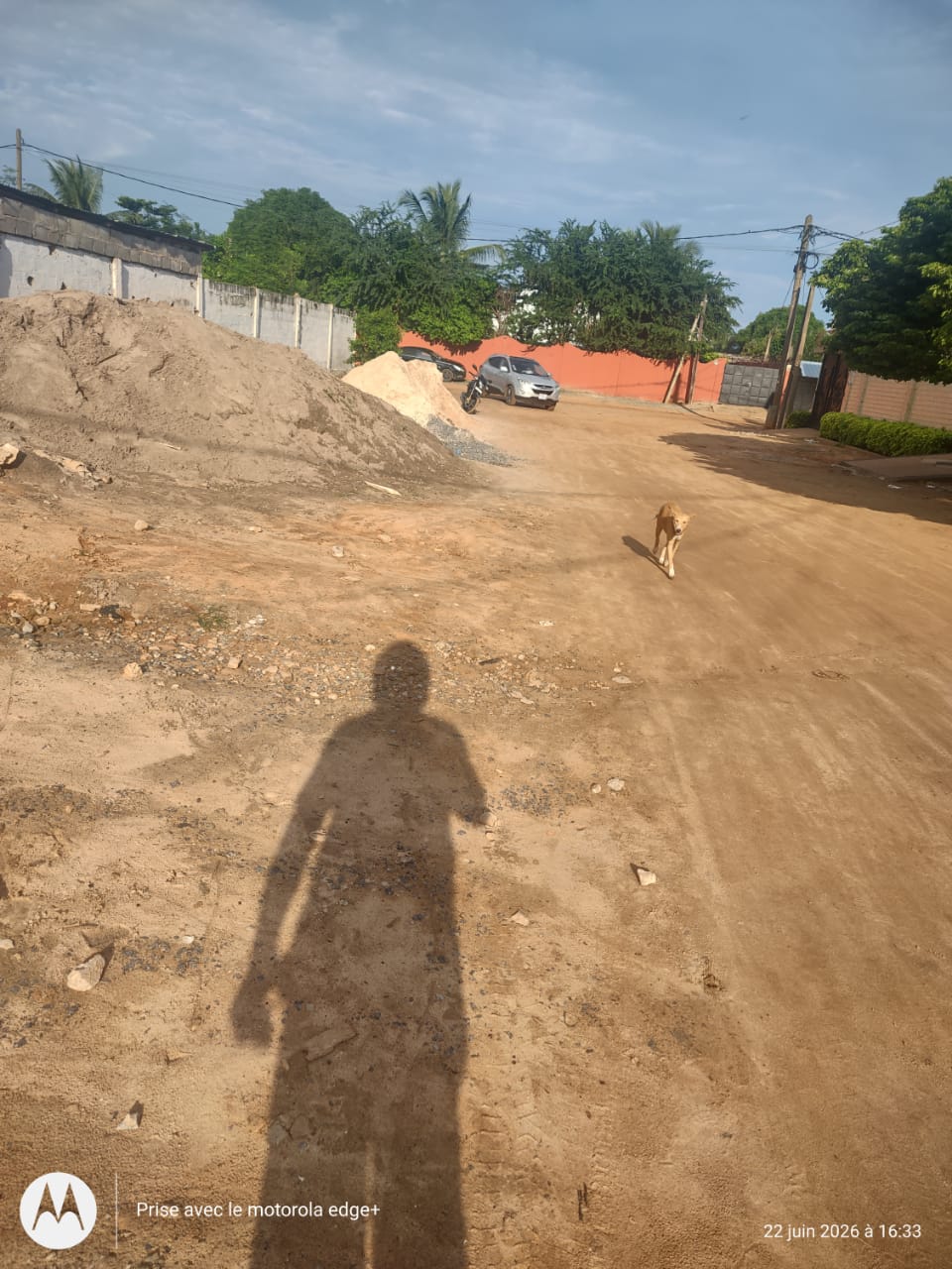 Terrain de 1600 m² en vente à Hédranawoè avec titre foncier – 50 millions FCFA le lot