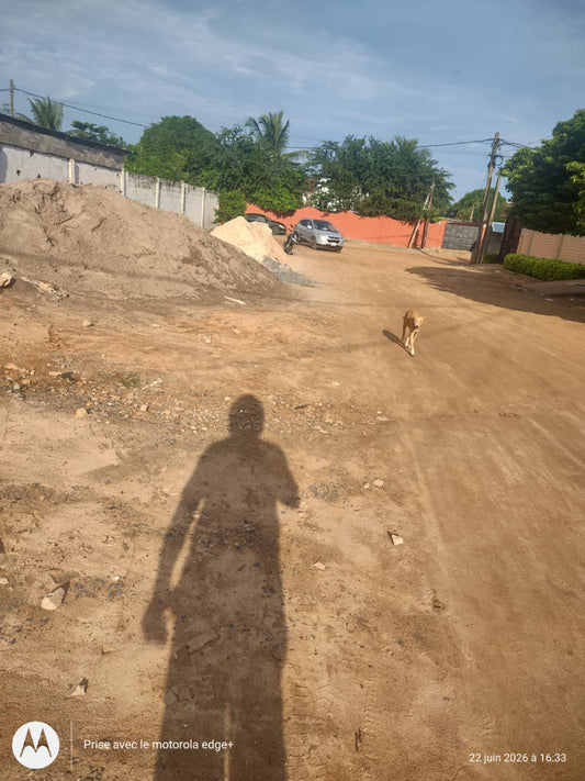 Terrain de 1600 m² en vente à Hédranawoè avec titre foncier – 50 millions FCFA le lot