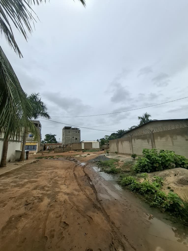 Terrain cloturé en vente à Ségbé – 28 000 000 FCFA