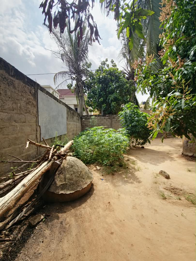 Terrain de 600 m² en vente, angle de rue et bord du goudron à Davié – 12 millions FCFA