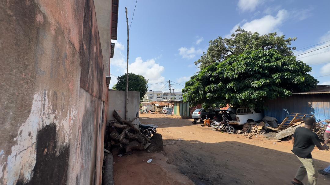 Terrain 1 lot en vente à Forever – 100 millions FCFA