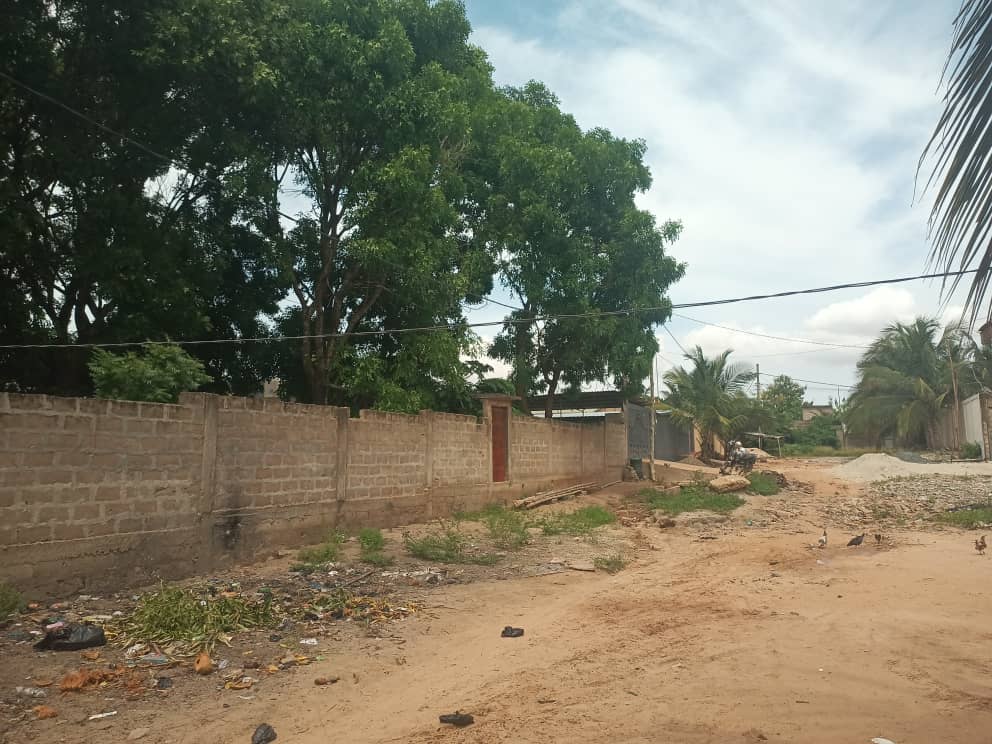 2 lots 1/2 clôturé à vendre derrière marché de Legbassito – 14 millions FCFA