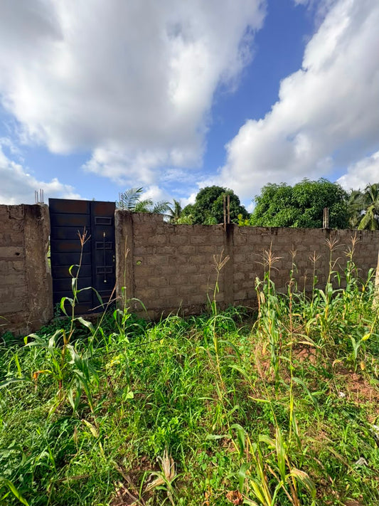 Terrain de 4 lots en vente en angle de rue à Légbassito Kognito – 15 millions FCFA le lot