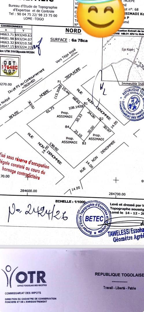 Terrain 1 lot en vente à Noépé – 6 millions FCFA