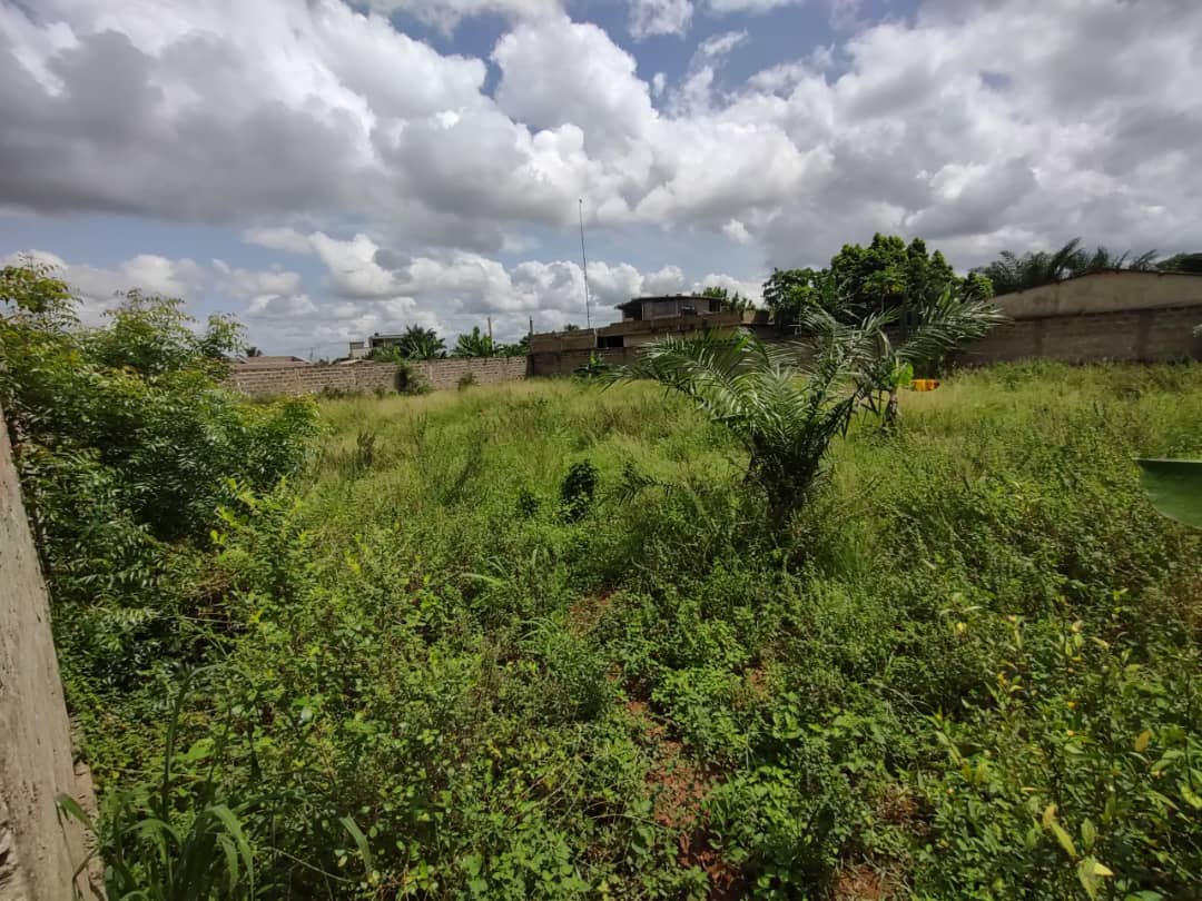 Terrain de 2 lots en angle de rue à Zanguera Wougome – 22 000 000 FCFA le lot