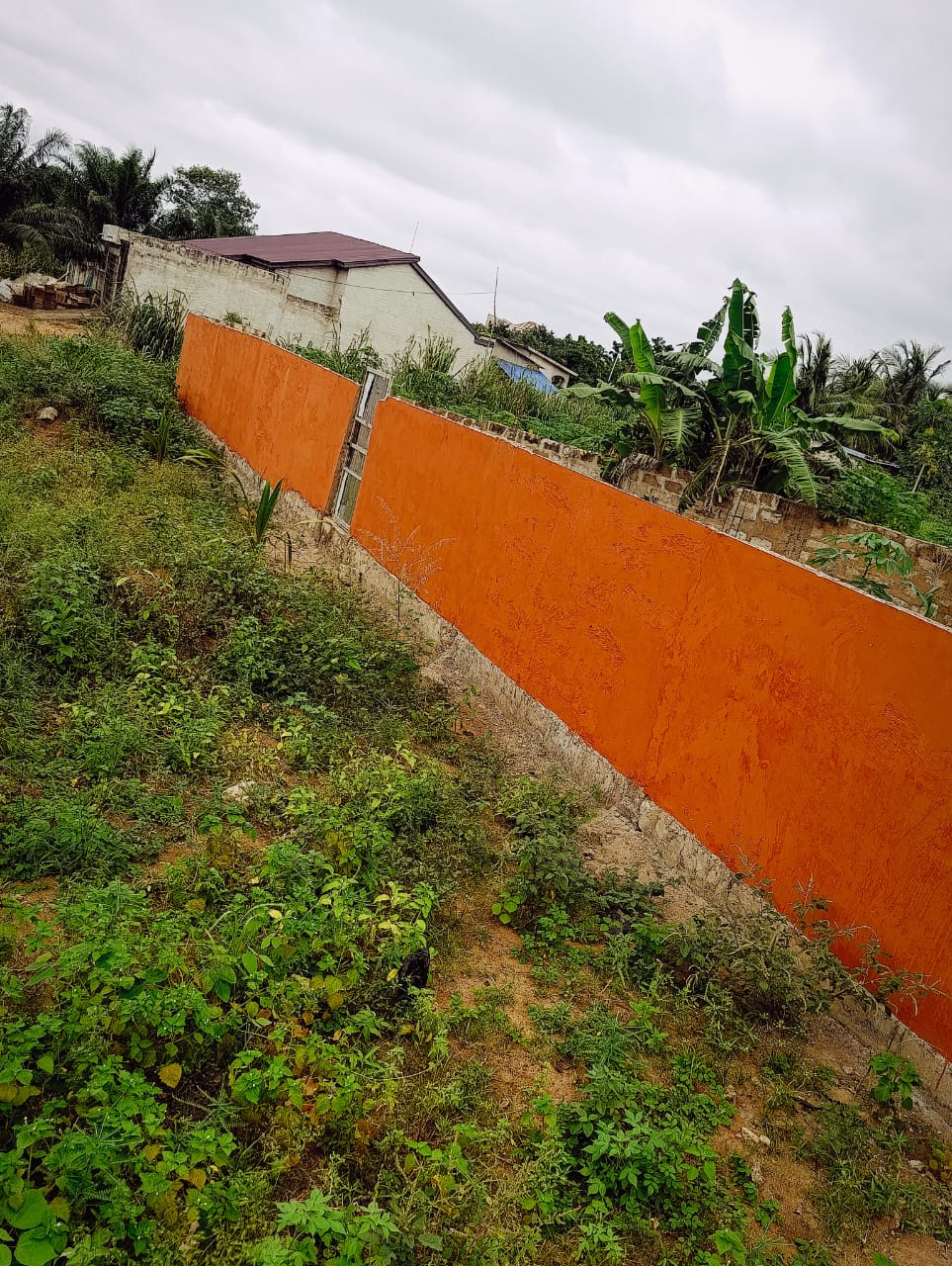 Terrain de 203 m² en vente à Kpalé, angle de rue - 4,5 millions FCFA