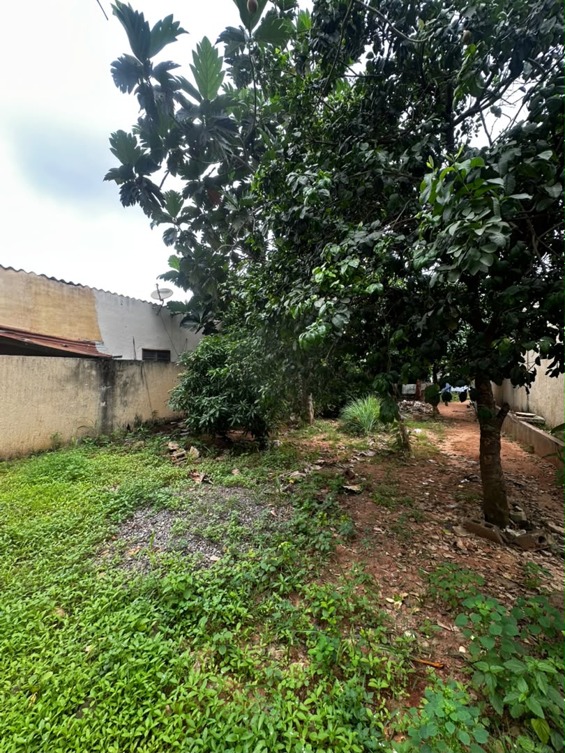 Maison sur demi-lot de 224 m² à vendre à Adidogomé Obena – 13 millions FCFA
