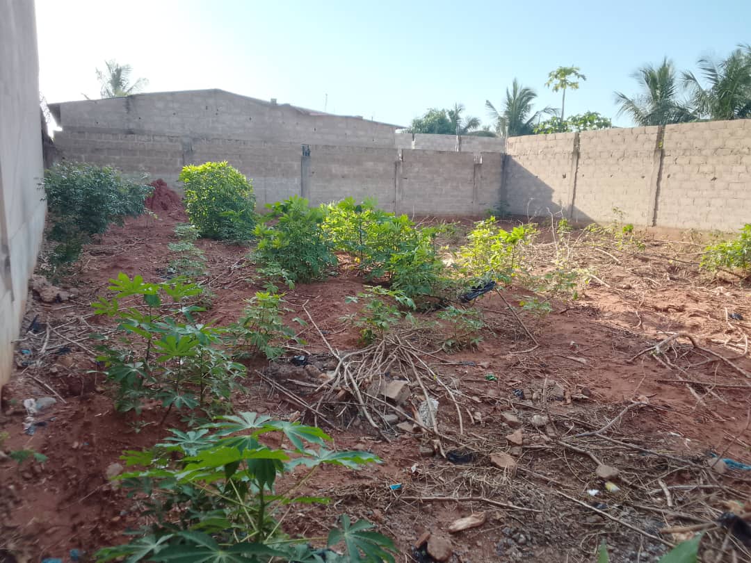Terrain en vente à Djagblé Mokpla – 10 500 000 FCFA