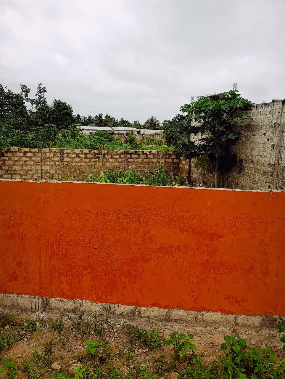 Terrain de 203 m² en vente à Kpalé, angle de rue - 4,5 millions FCFA