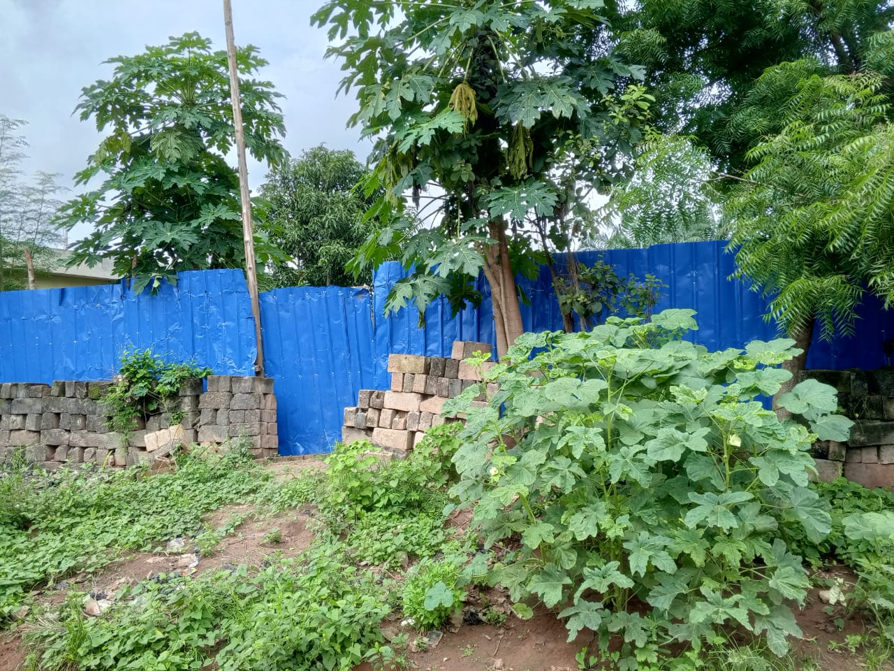 Terrain de 1 lot en vente à Agoè Légbassito – 30 000 000 FCFA