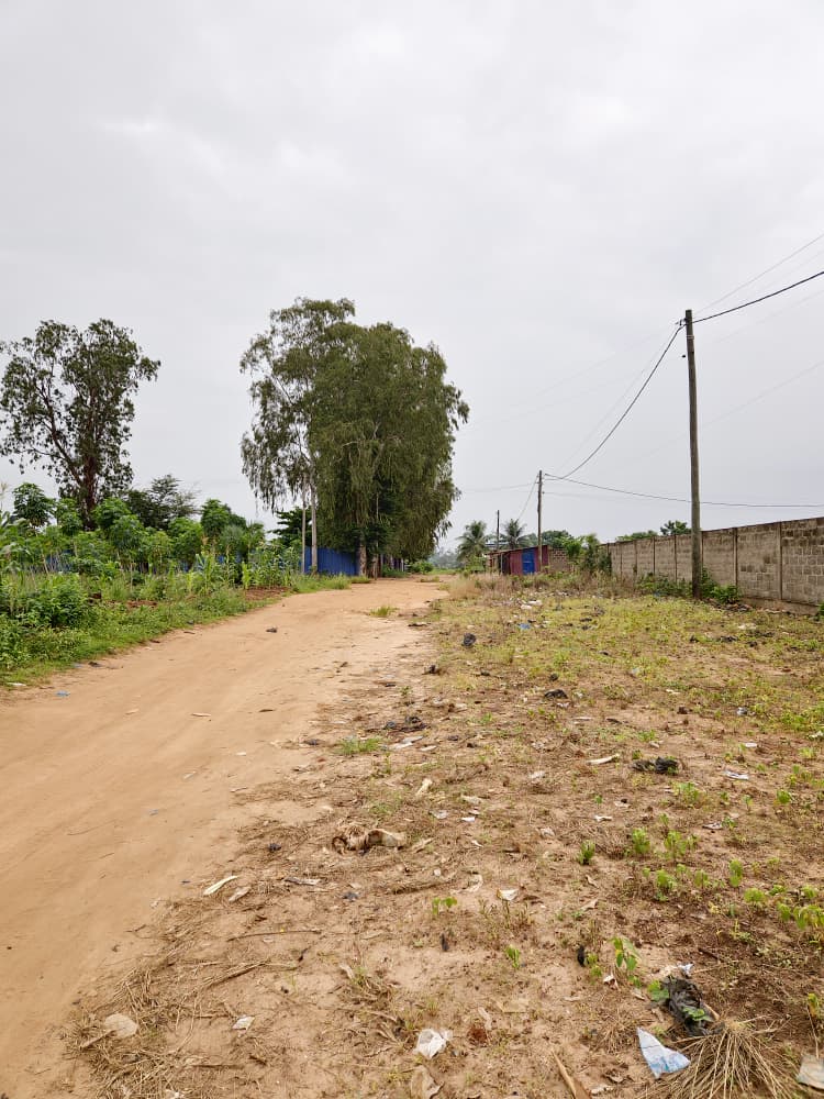 Terrain de 2996 m² en vente à Sanguéra Marché, bordure de 3 voies – 25 millions FCFA le lot