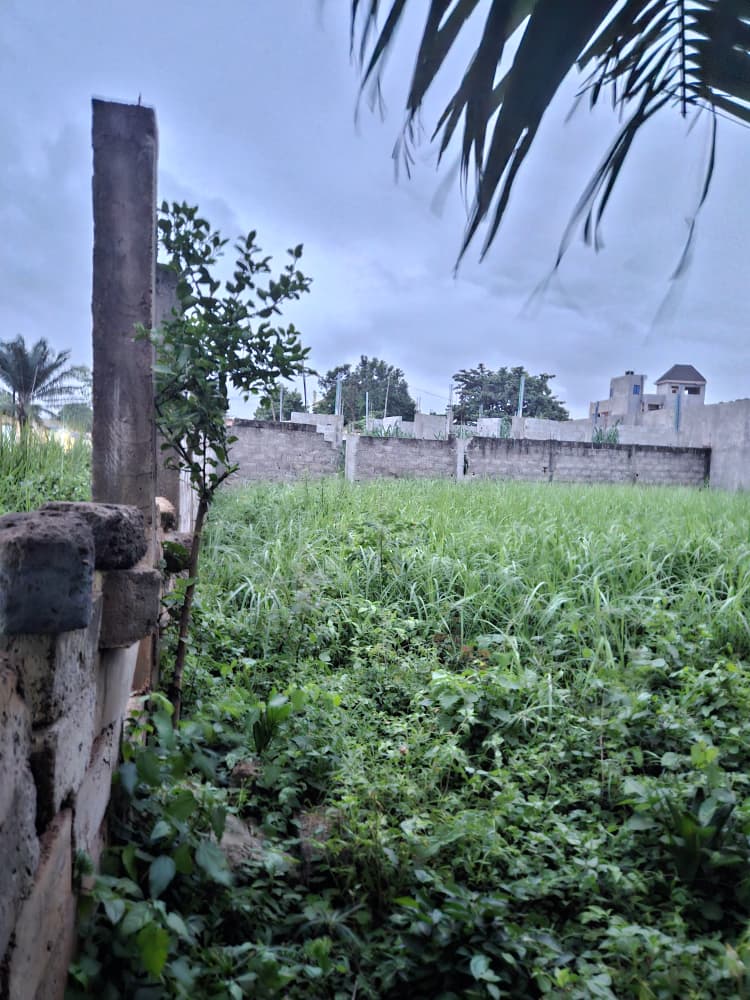 Terrain 1/2 lot en vente proche du goudron à côté du marché Légbassito – 25 000 000 FCFA