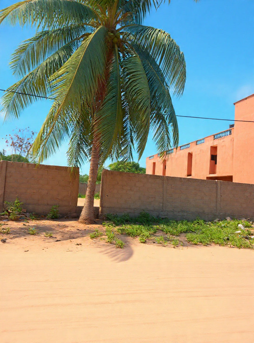 Terrain de 600 m² en vente à Adidogomé Atilamonou – 26 millions FCFA le lot