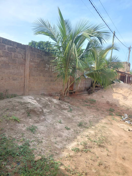 Terrain de 900 m² en vente à Assigome Vakpossito – 45 millions FCFA