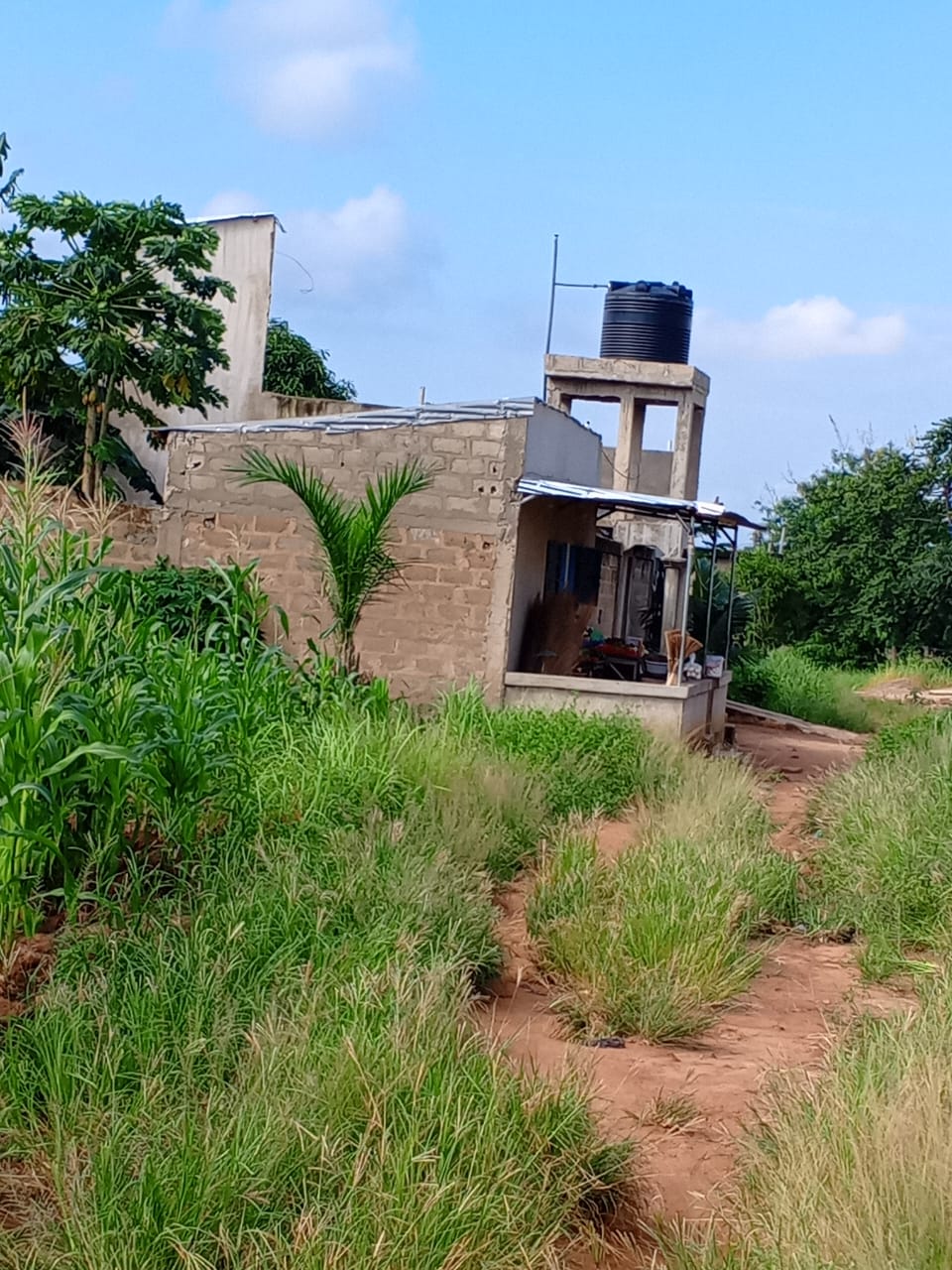 Terrain 2 lots en vente à Apessito Gbezetsan – 13 millions FCFA le lot