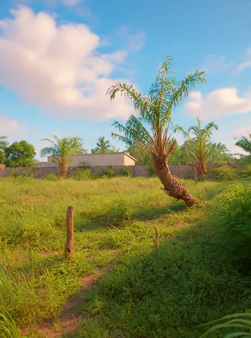 Terrain de 1 lot en vente en bordure de rue de 16 m à Sagbado Gbomame – 22 000 000 FCFA