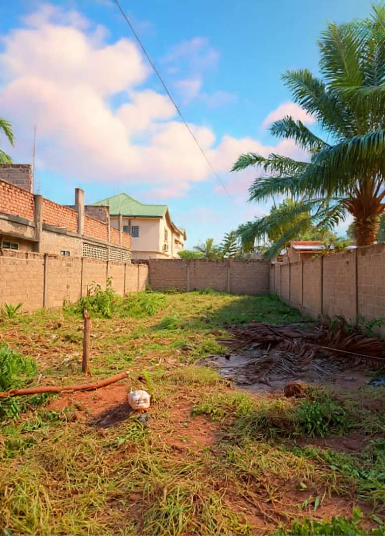 Terrain d'un demi-lot en vente à Sagbado Logoté Carrefour CFA – 16 millions FCFA