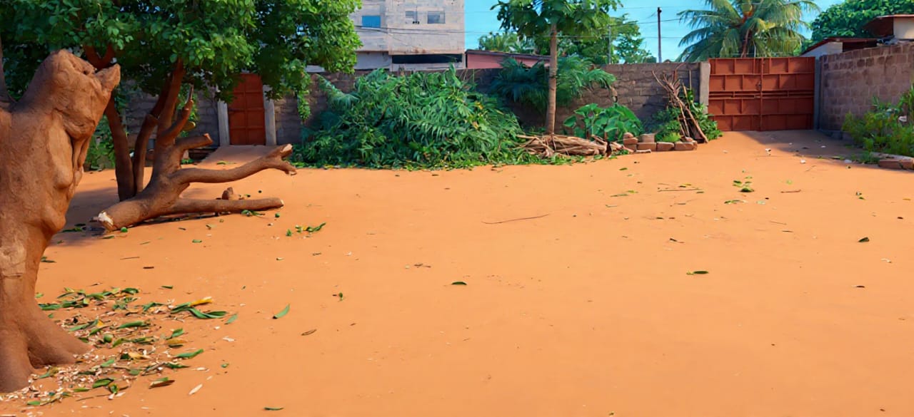 Terrain de 600 m² en vente à Agoè Assiyéyé Fiovi, proche goudron – 57 000 000 FCFA