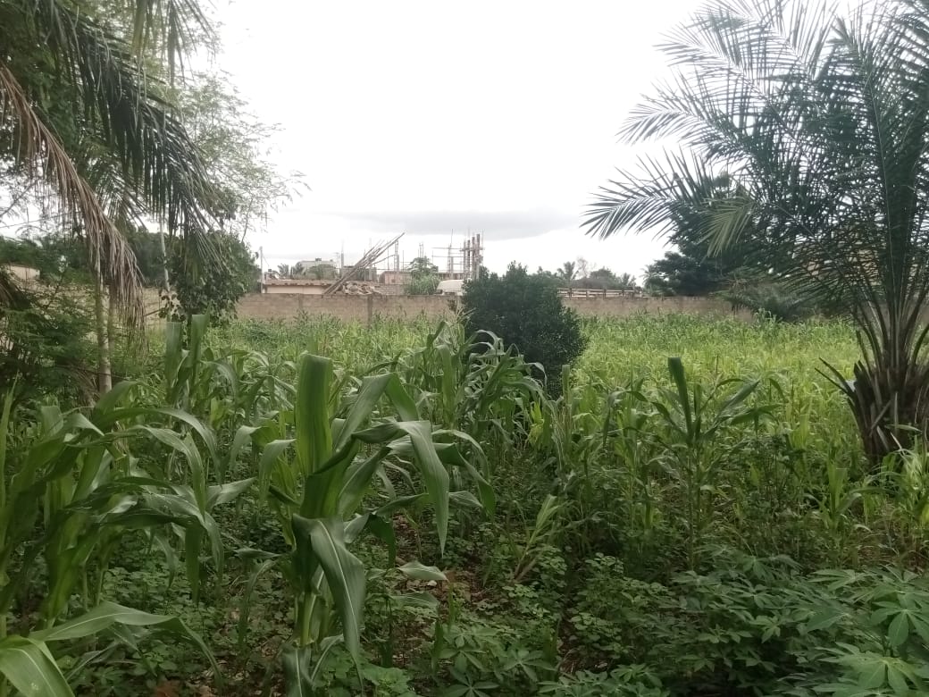 Terrain de 2 lots en vente à Agoè à côté de Camp de Police – 22 millions FCFA le lot
