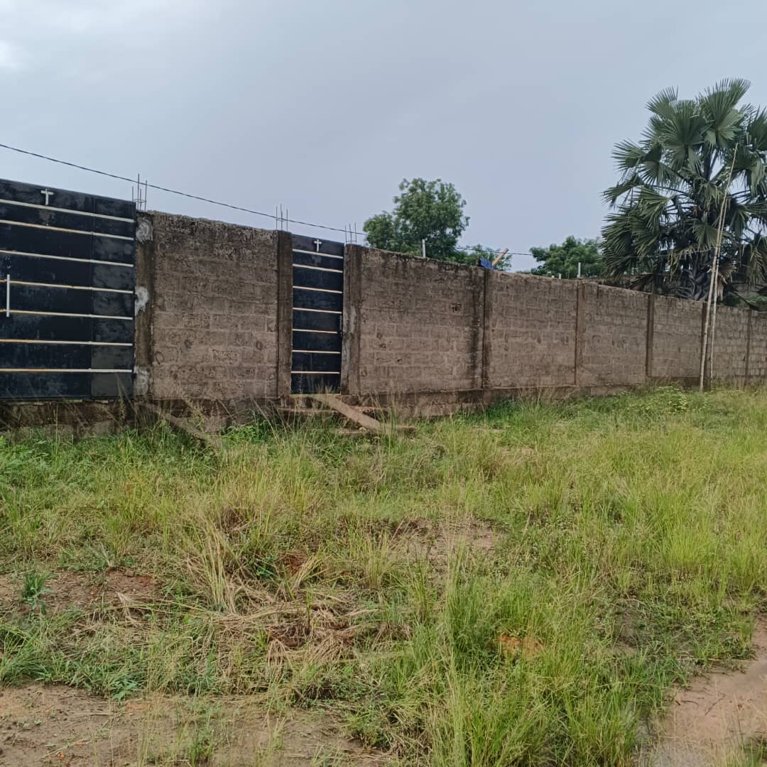 Terrain de 600 m² en vente à Legbassito (Apessito) – 20 millions FCFA