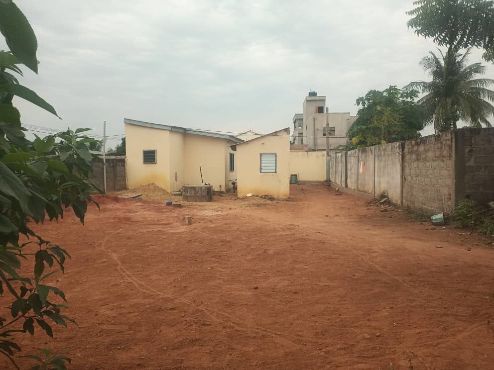 Maison 1 chambre en vente sur 1/2 lot à Adidogomé Kohé – 14 millions FCFA