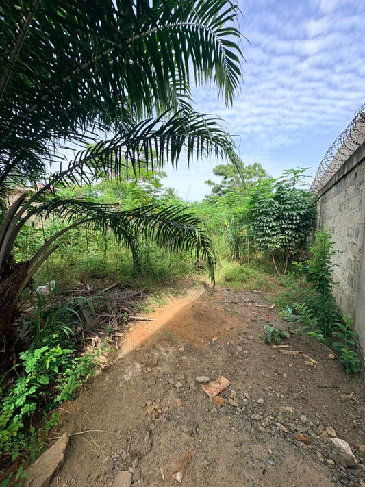 Terrain (demi lot) à vendre à Zanguera – 15 millions FCFA