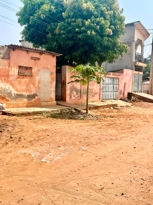 1 lot en vente à Djidjolé avec accès goudron – 55 millions FCFA